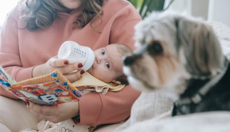 Baby får mælk og kigger på hund