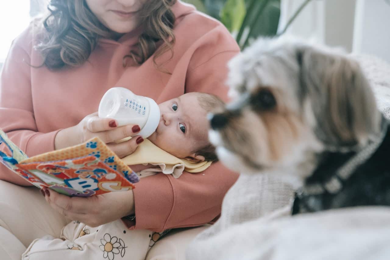 Baby får mælk og kigger på hund